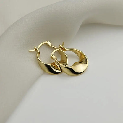 Irregular Wavy Hoop Earrings